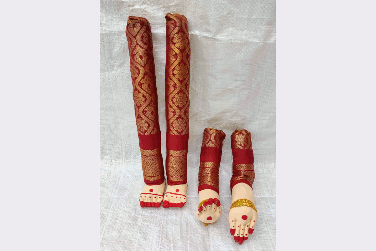 Decorated Pattu Zari Hands and Legs