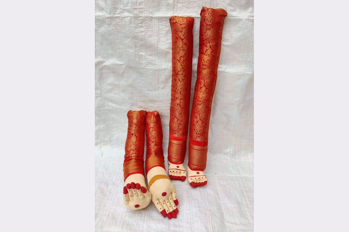 Decorated Pattu Zari Hands and Legs