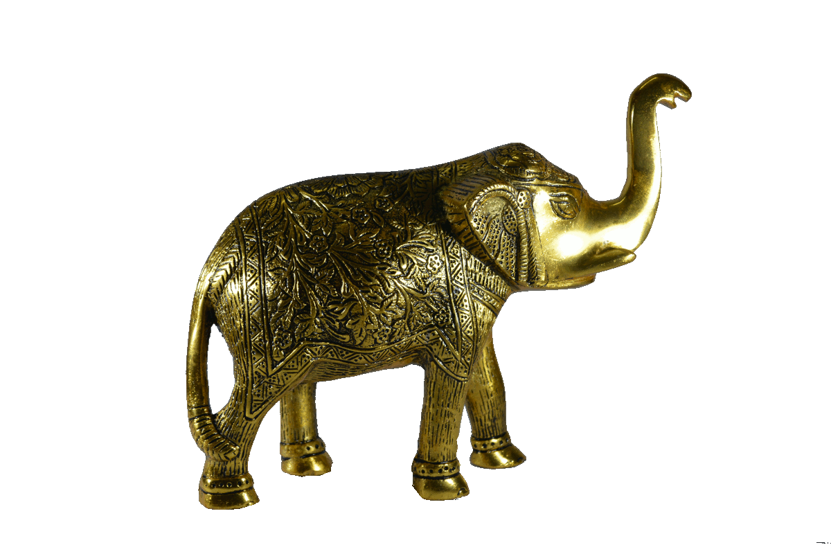 Golden Elephant Big